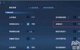 王者荣耀战绩怎么隐藏的，王者荣耀战绩怎么隐藏的图标