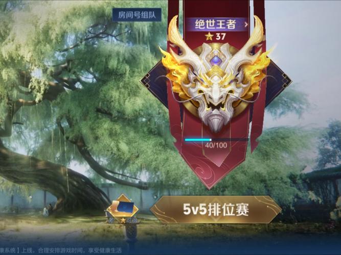王者以上多少星可以双排?王者多少星以后不能双排?-第4张图片-王者荣耀资讯站_攻略_背景故事_玩法 王者以上多少星可以双排?王者多少星以后不能双排?-第4张图片-王者荣耀资讯站_攻略_背景故事_玩法